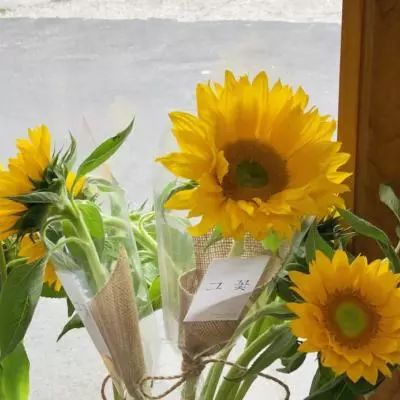 电玩城金鲨银鲨下载手机版截图